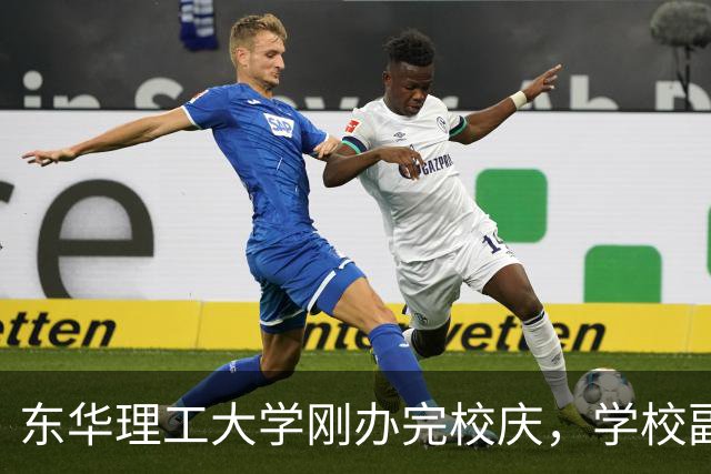 东华理工大学刚办完校庆，学校副书记夏菲便火速晋升校长，衔接的真完美