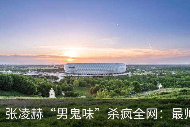 张凌赫“男鬼味”杀疯全网：最帅的脸，最瘆人的味，内娱审美变天