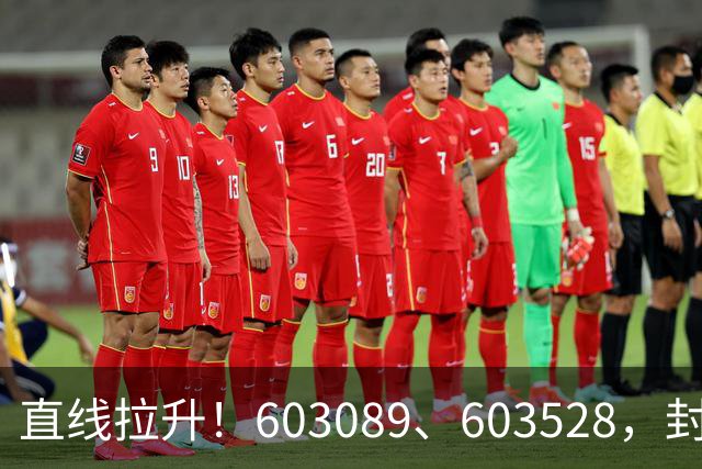 直线拉升！603089、603528，封涨停！